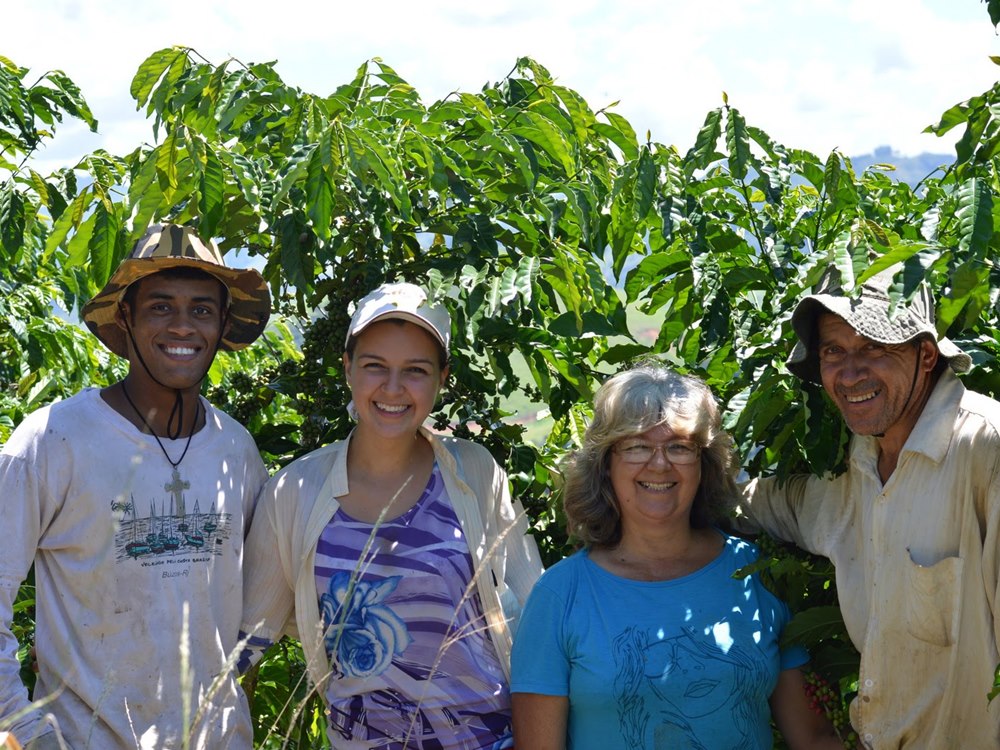Cooperativas ampliam participação no agro enquanto produtores enfrentam crédito caro