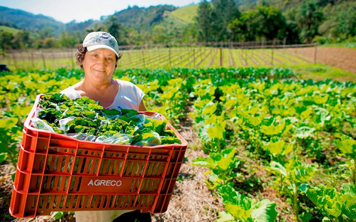 Encontro reúne mulheres do agro em São Paulo