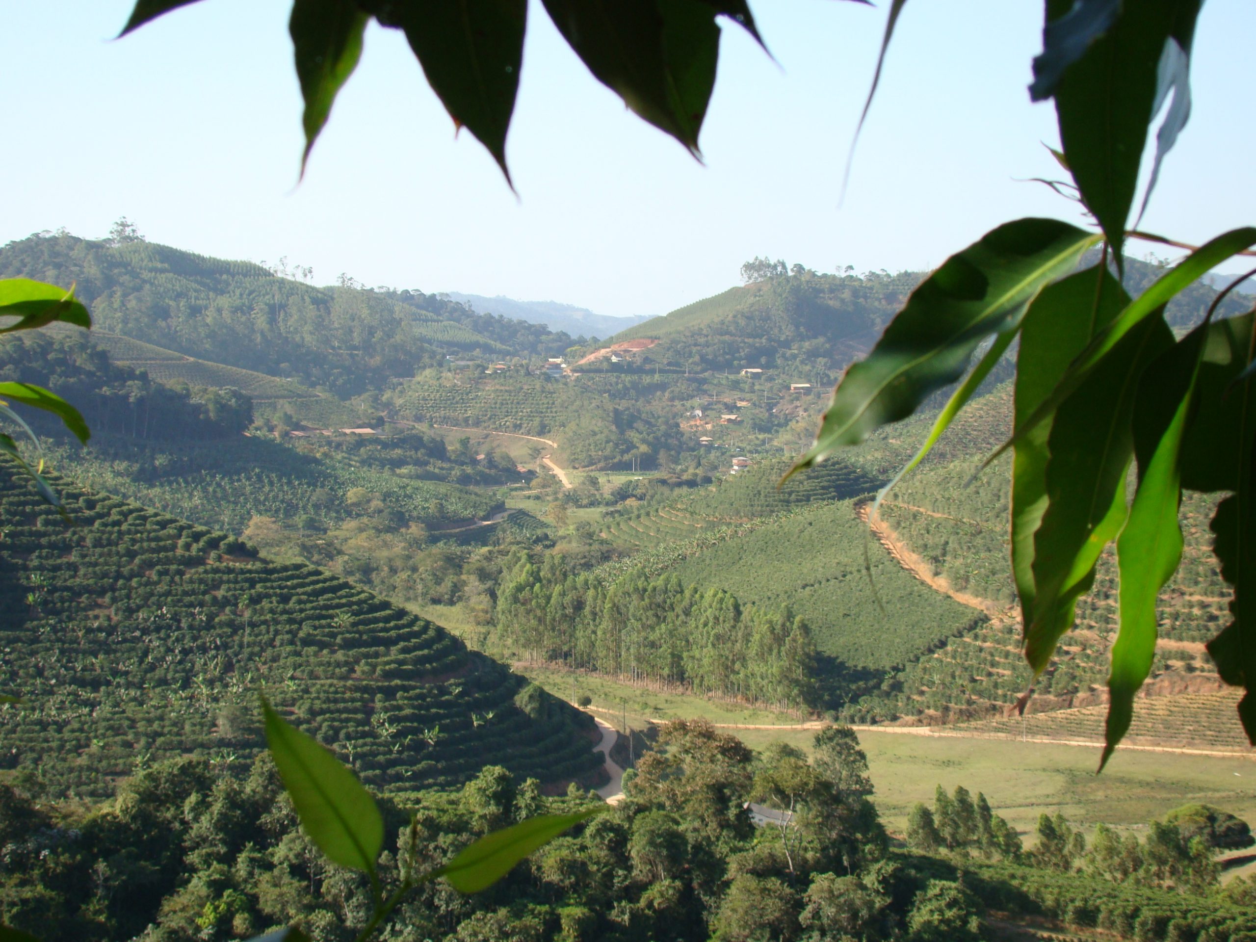 Marechal Floriano tem a maior cobertura florestal do Estado