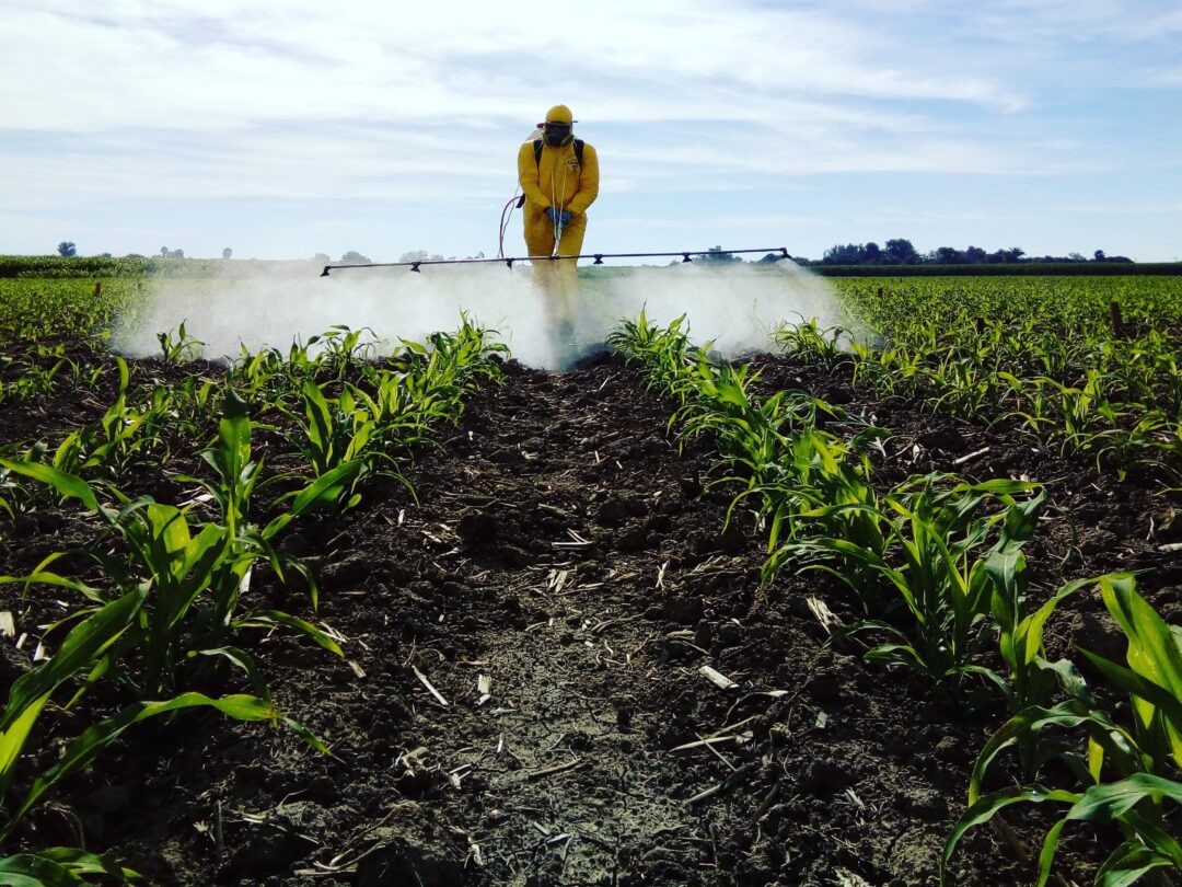 Defensivos agrícolas genéricos têm registros publicados no Diário Oficial
