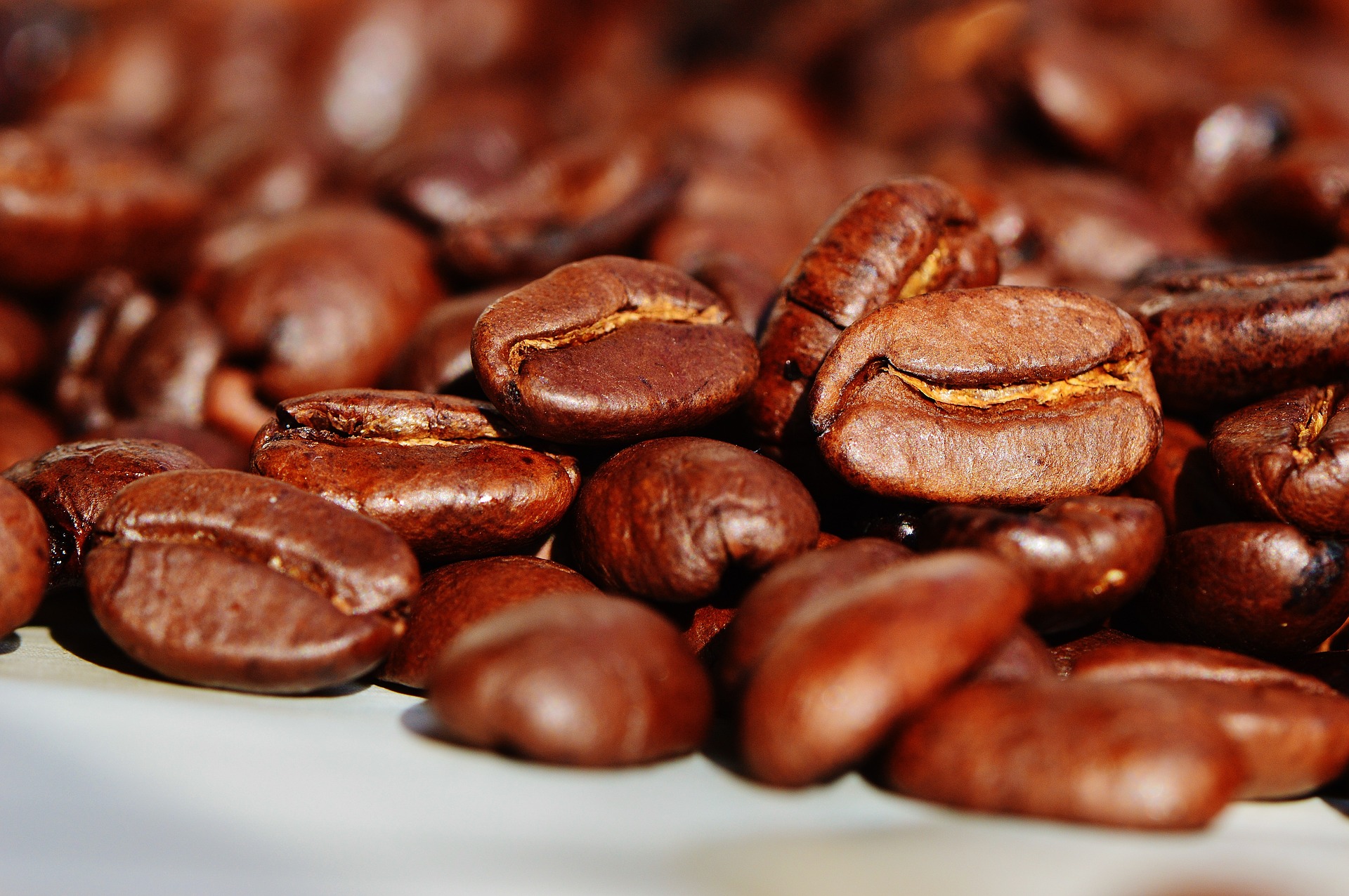 Brasil exporta 2,7 milhões de sacas de café em fevereiro