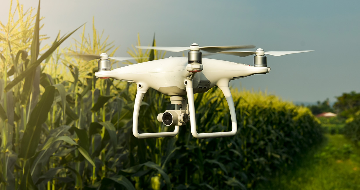 Pesquisa mostra resultados do controle biológico de pragas com aplicação via drone