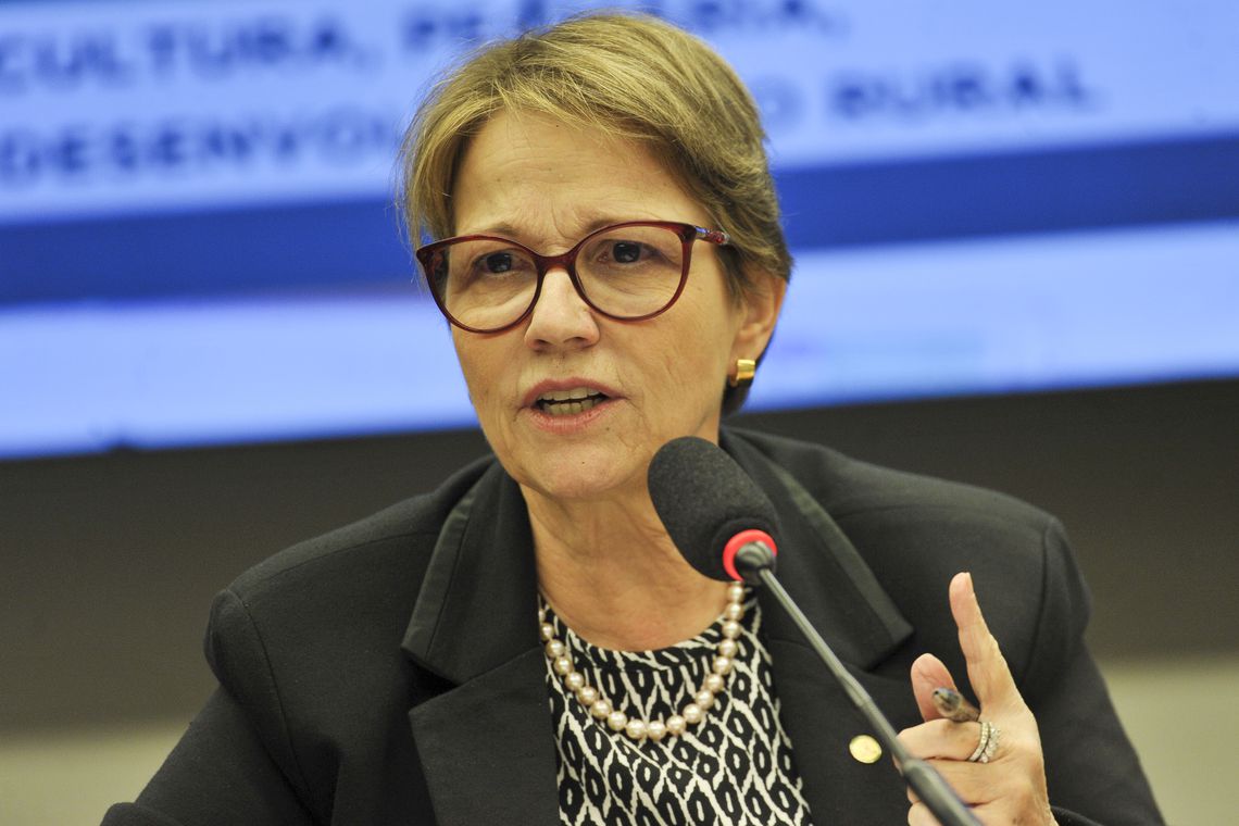 Ministra da Agricultura destaca compromisso do produtor e tranquiliza abastecimento