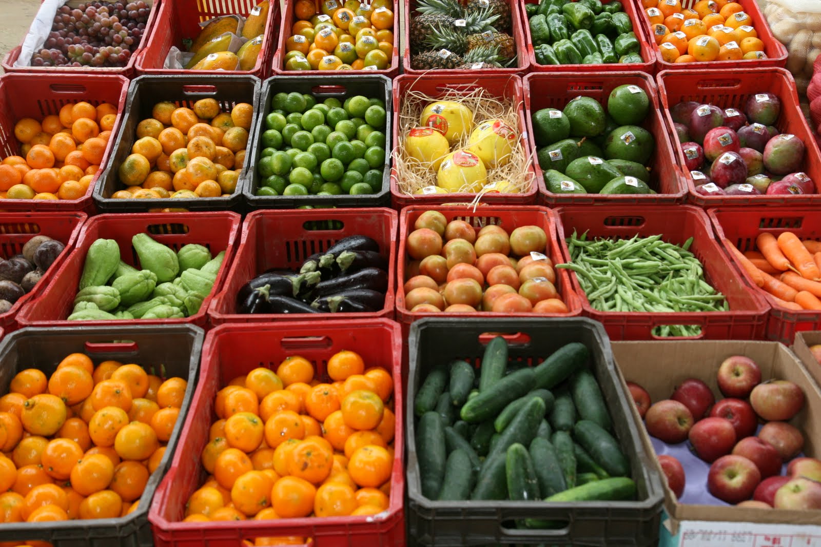 Conab atualiza ferramenta de pesquisa dos preços diários do mercado de hortifrutis