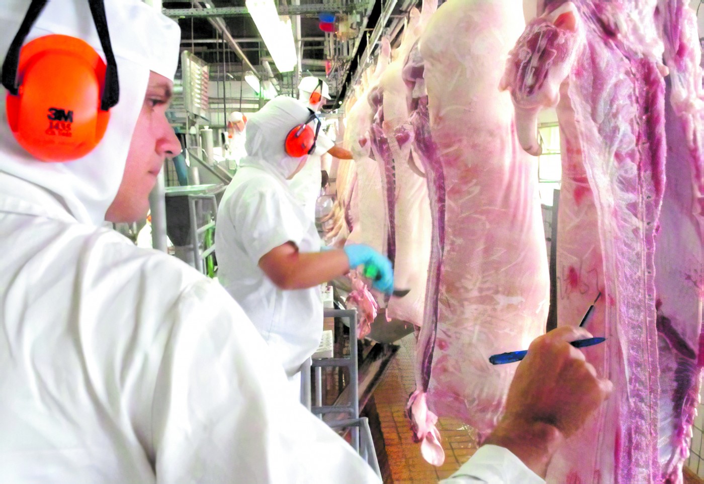 Médico-veterinário atua pela higiene e saúde alimentar da população