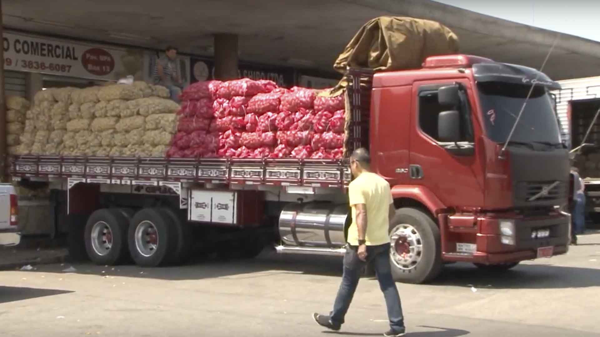 Deputada pede que entidades agrícolas auxiliem na entrega de cestas básicas