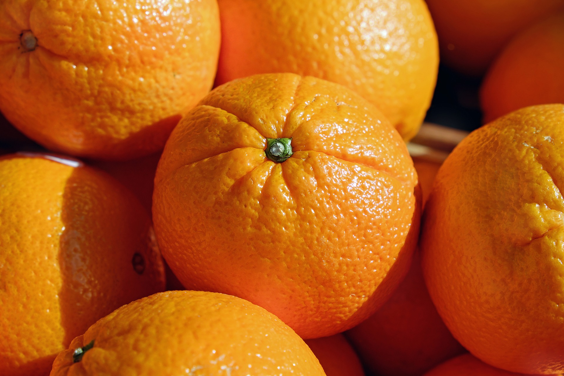 Disponibilidade de laranja deve crescer este mês, aponta Cepea