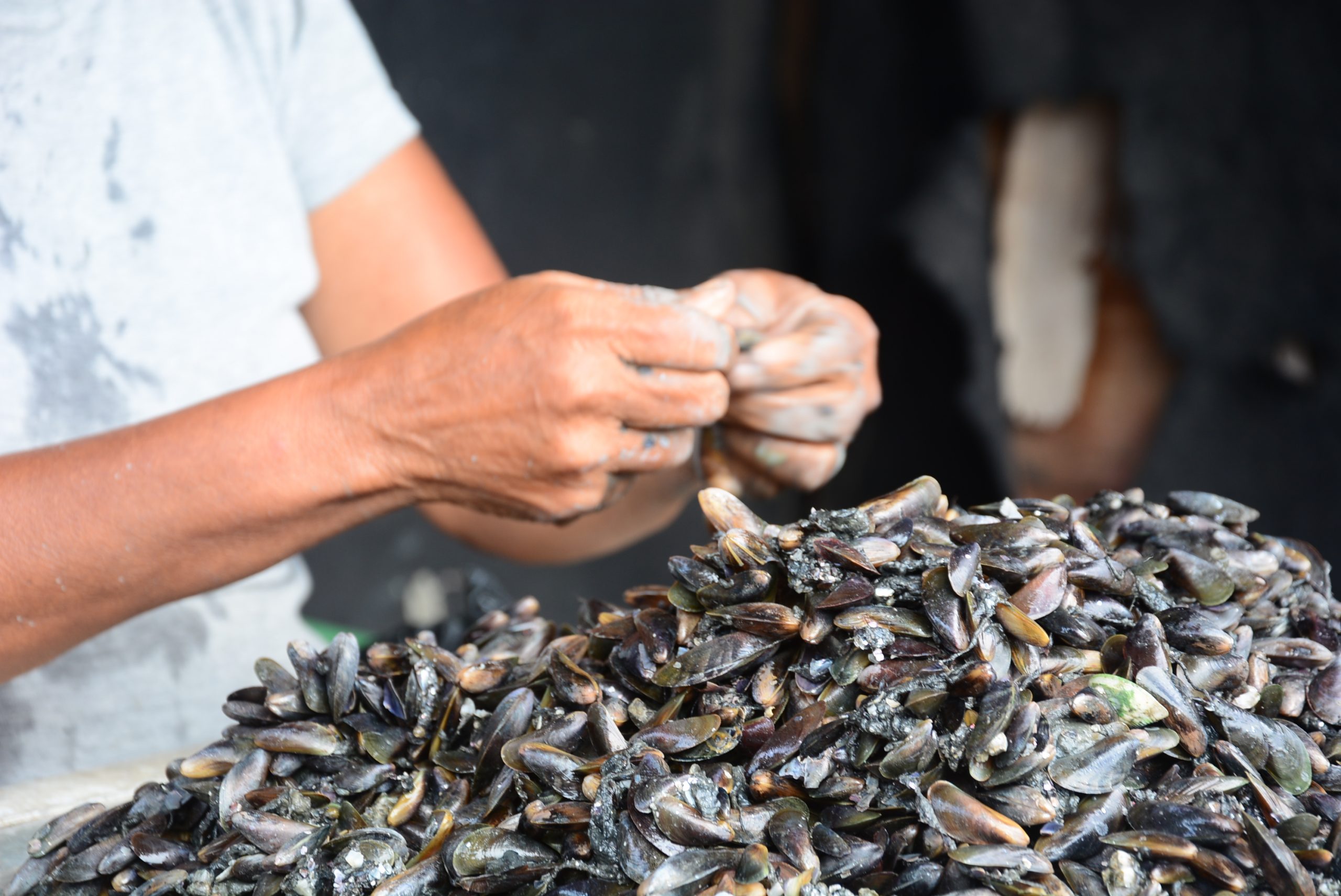 Covid-19: produtores rurais, pescadores e marisqueiras capixabas terão direito a crédito emergencial