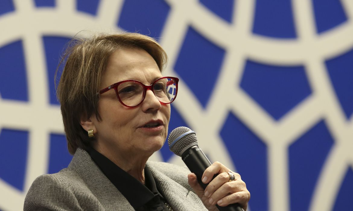 Governo poderá antecipar Plano Safra 2020/21, diz ministra Tereza Cristina