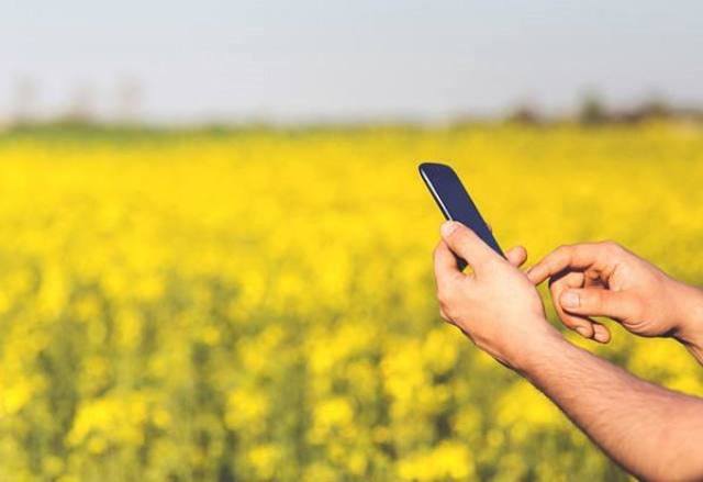 CNA/Senar lança plataforma para estimular venda de produtos do agro