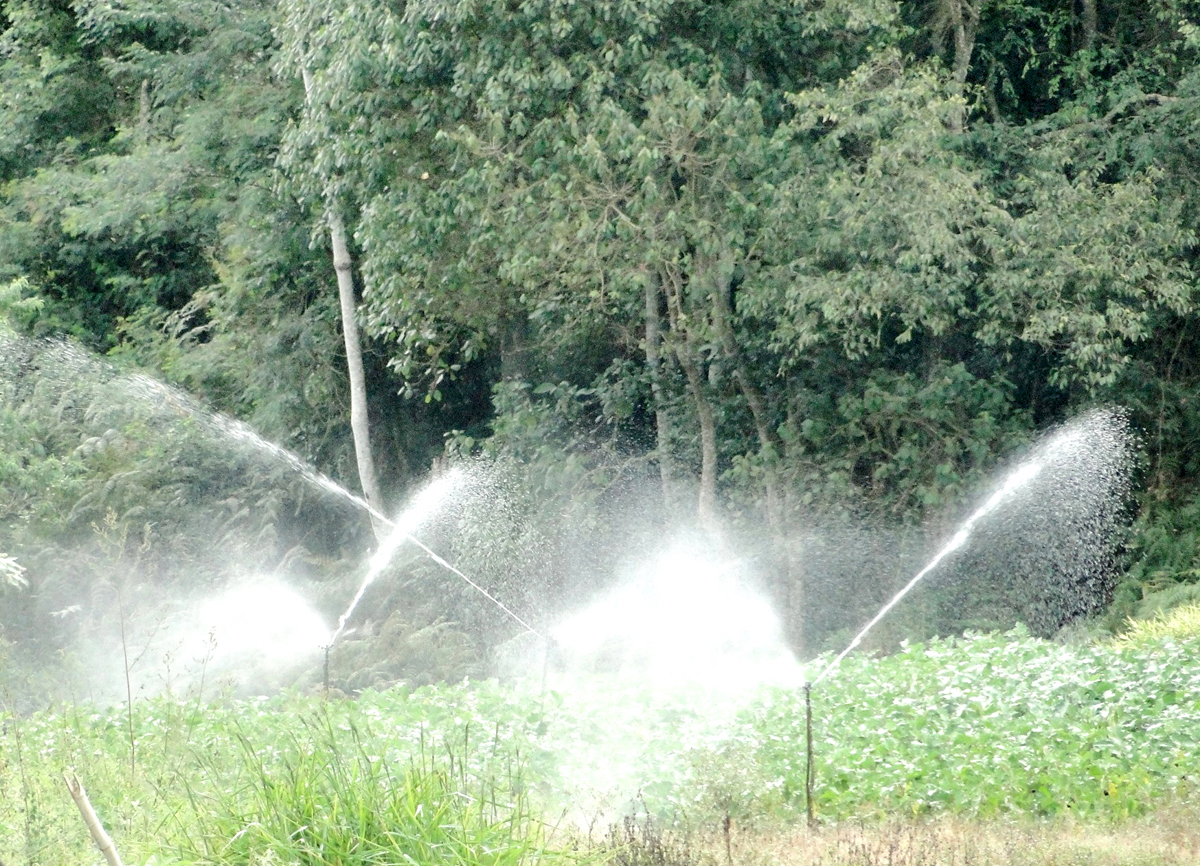 Agência Nacional de Águas vai adiar cobrança pela captação de água bruta