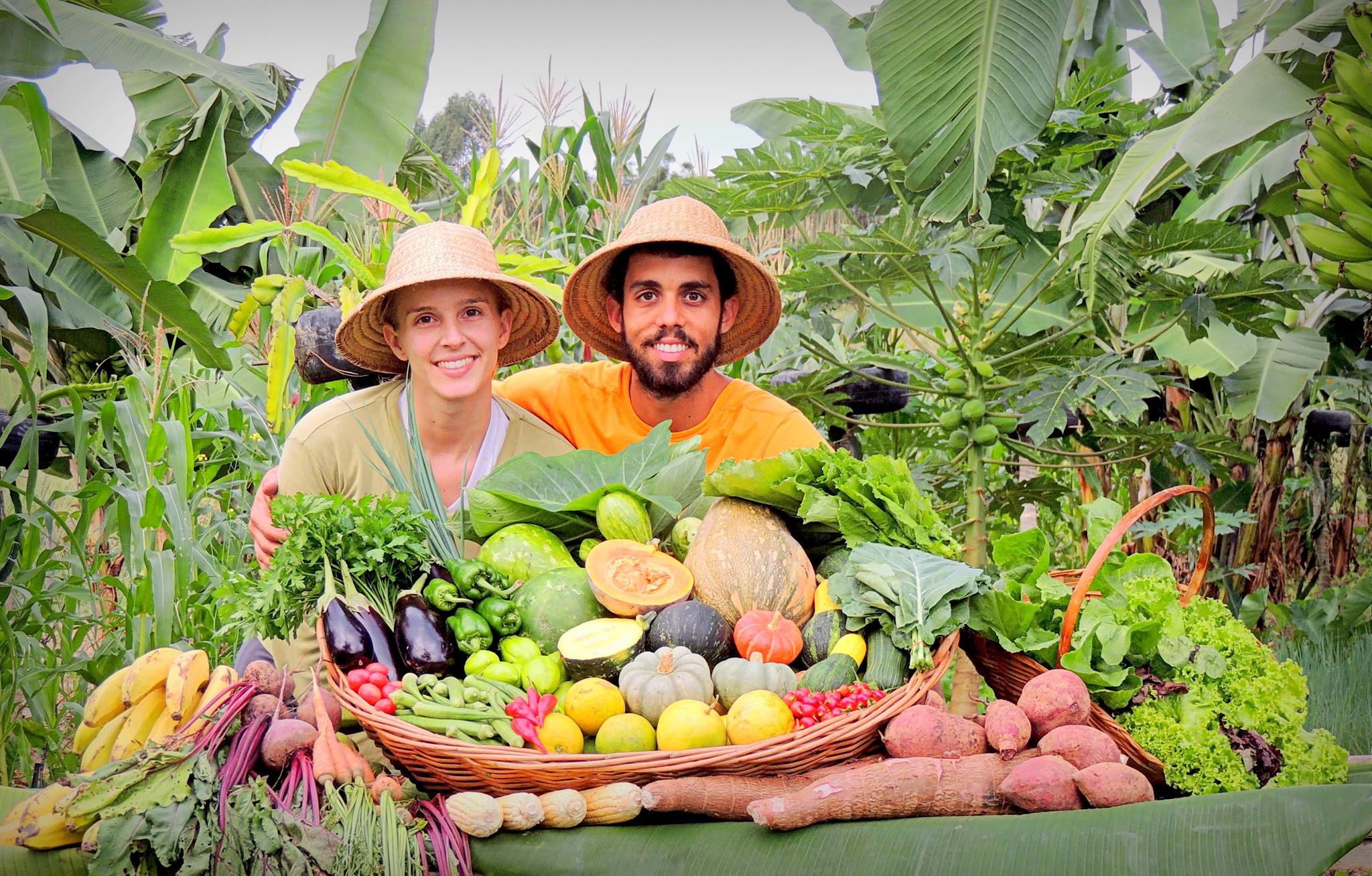 Cooperativas e associações terão R$ 220 milhões para produzir alimentos