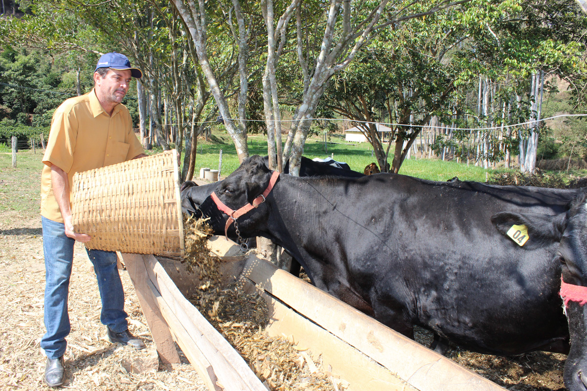 Como o pecuarista pode enfrentar a entressafra do leite