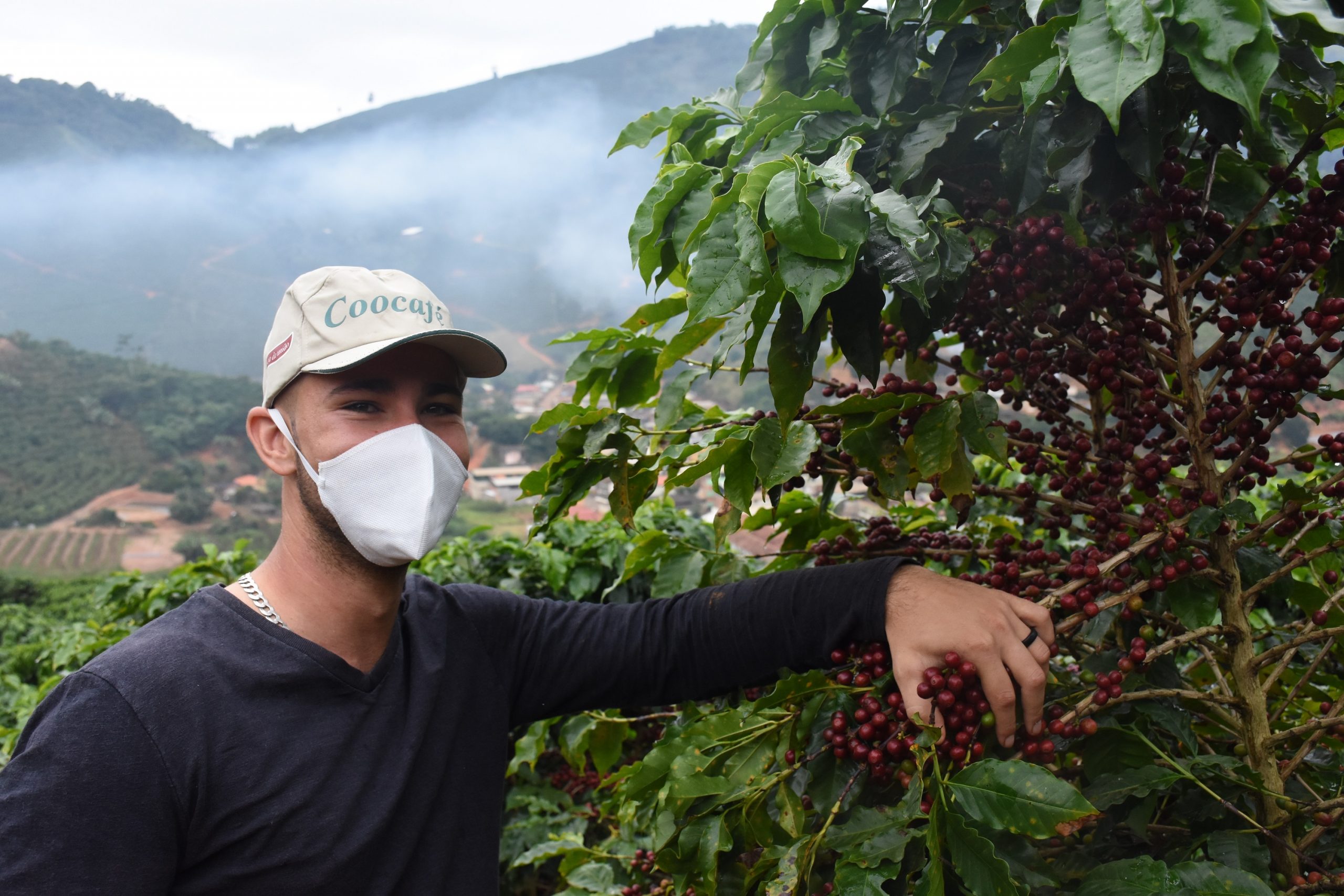 Vídeo de cafeicultor viraliza ao associar colheita dos grãos ao auxílio emergencial