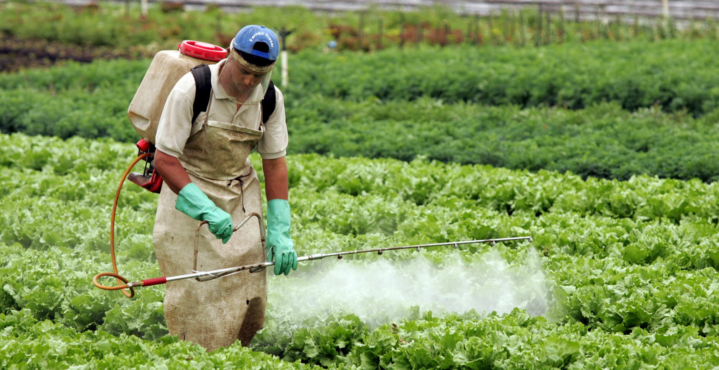Defensivos agrícolas de baixo impacto estão sendo registrados mais rapidamente