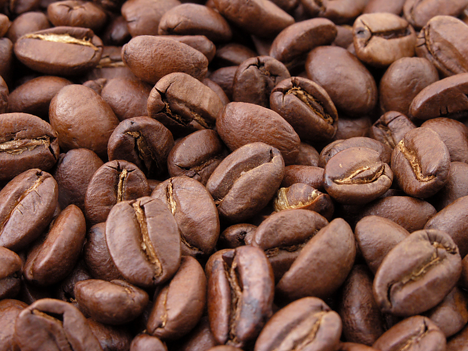 CNC e Emater-MG firmam  Cooperação Técnica e lançam cartilha para colheita do café