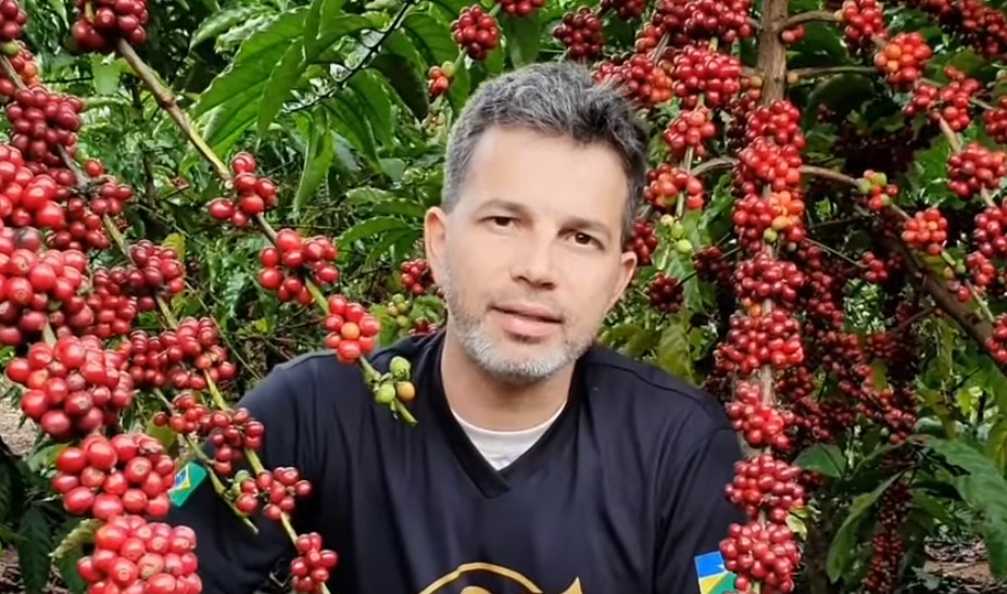 Quem ama florestas, consome cafés sustentáveis