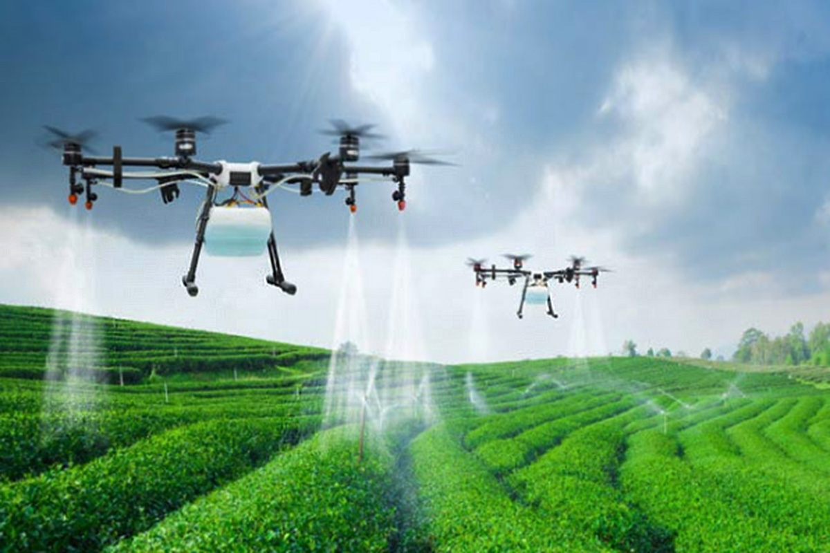 Levantamento on-line apontará tendências em agricultura digital