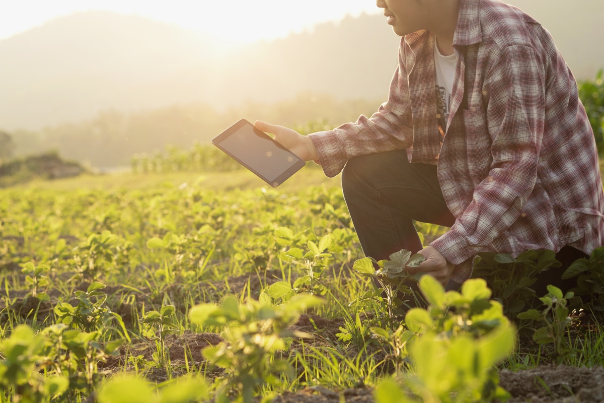 Sistema eletrônico de controle de receita agronômica a partir de junho no ES