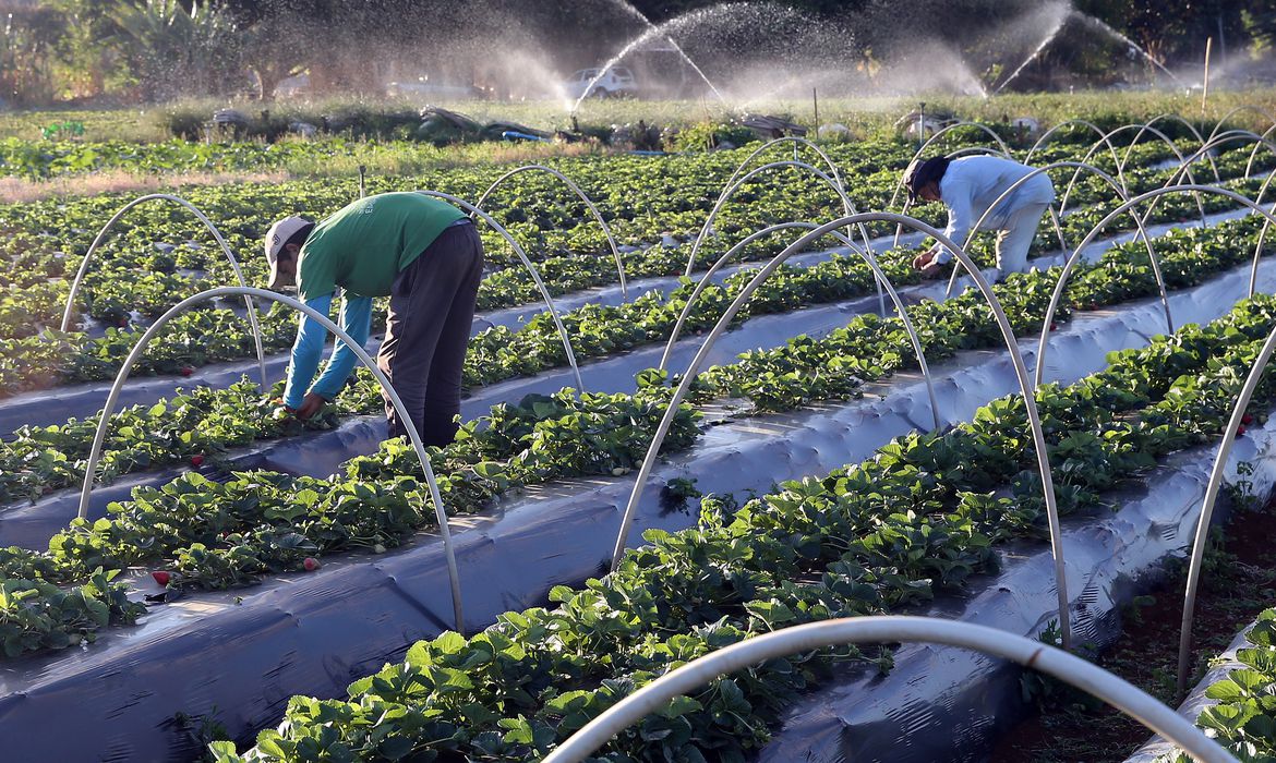 Agricultores familiares afetados pela seca podem renegociar financiamentos com bancos