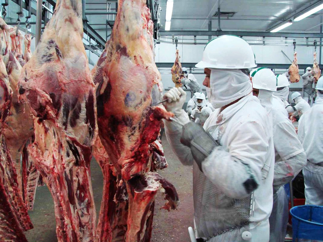 Estudo mostra que indústria de carne tem alto risco de novas pandemias