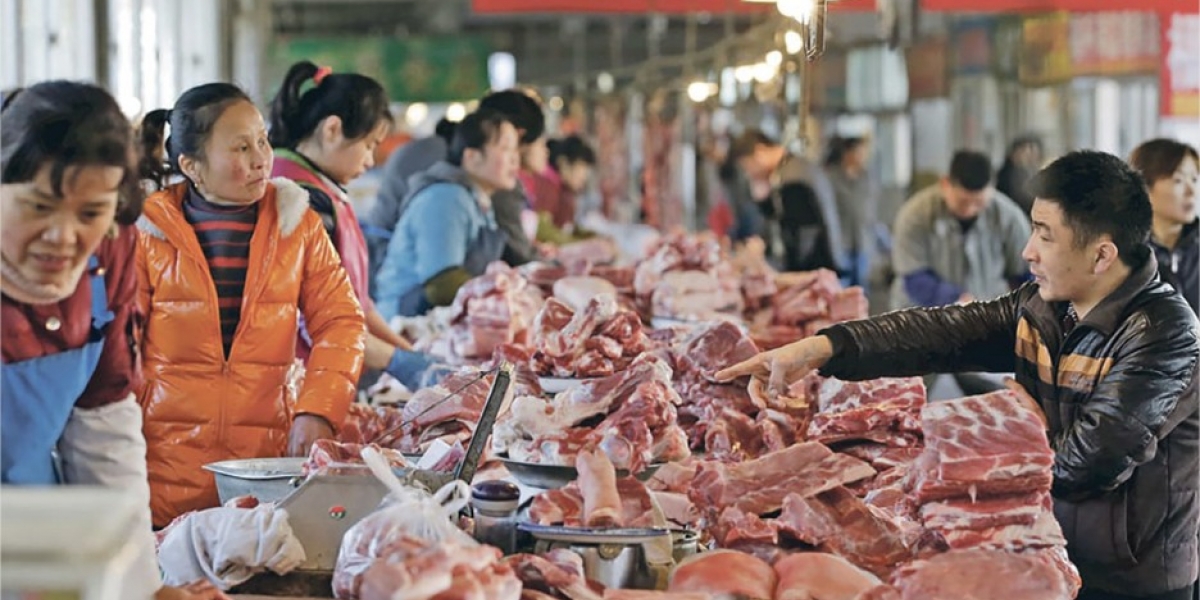 Exportação de carne suína para a China salta 86% em maio