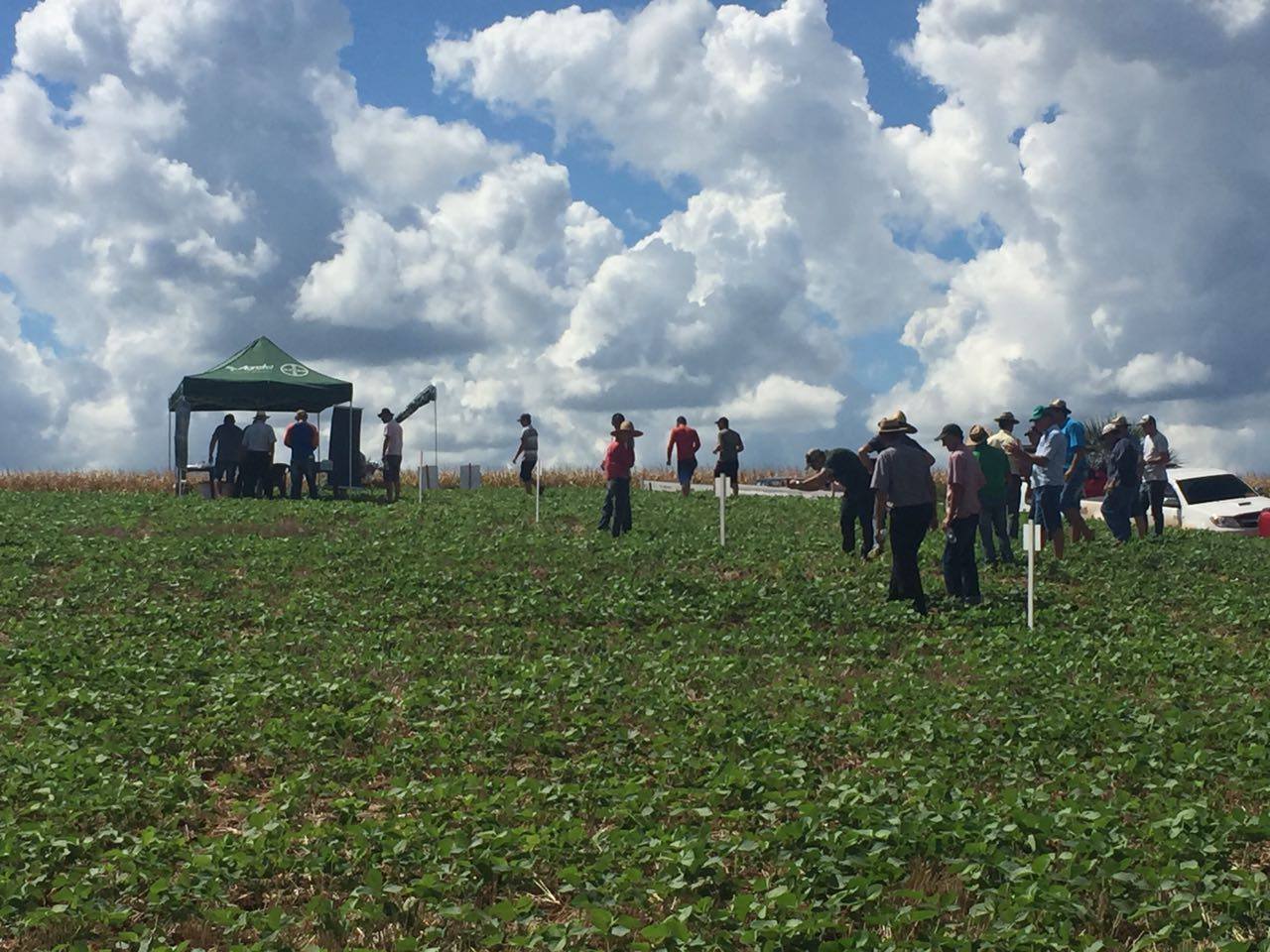 Primeira live de campo do Brasil acontece no Rio Grande do Sul
