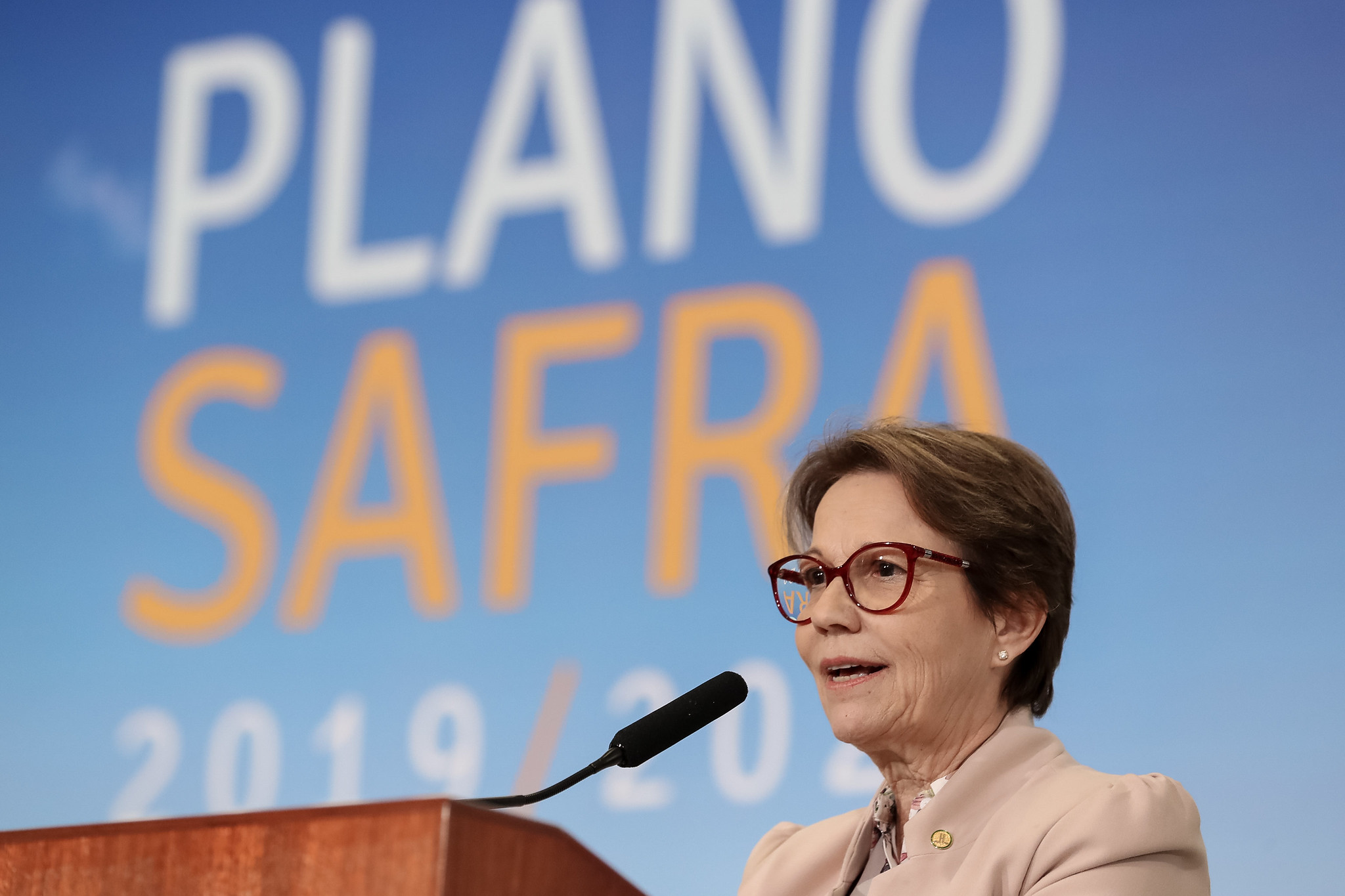 Plano Safra 2020/2021 será lançado nesta quarta-feira (17)