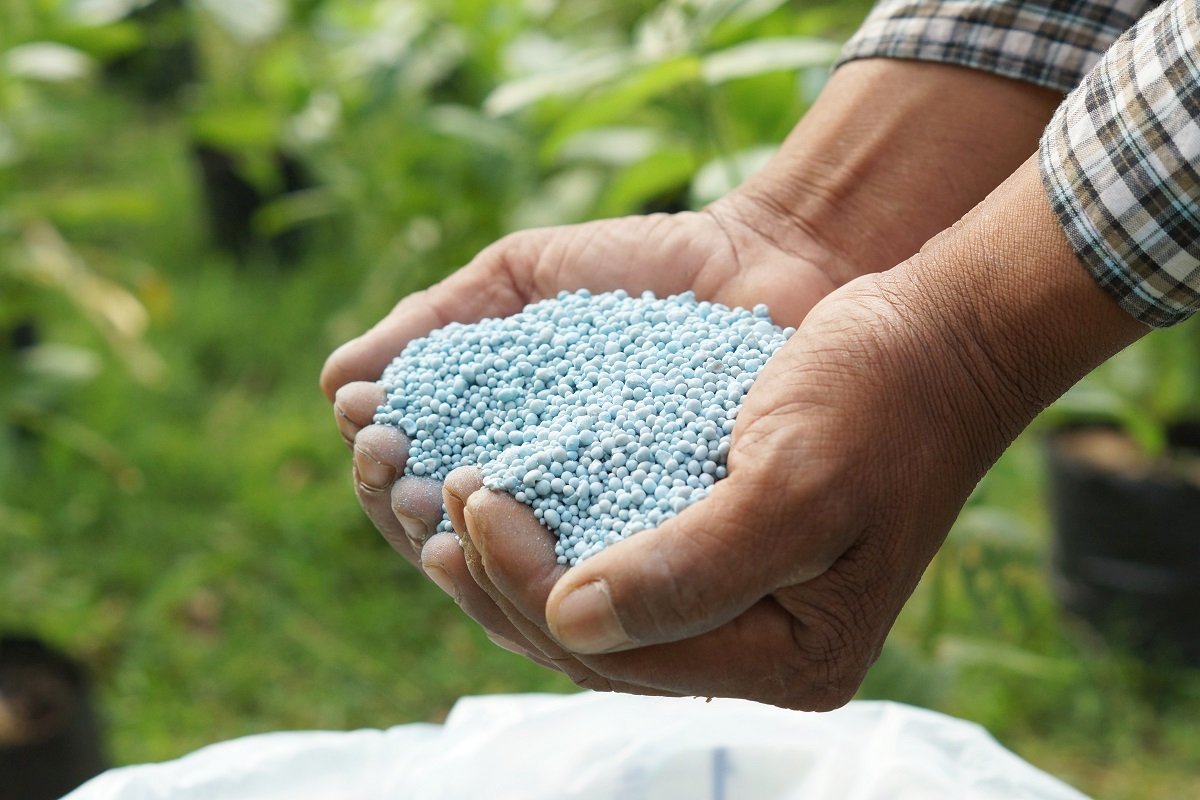 Conab afirma que garantia de fornecimento de fertilizantes pela Rússia traz segurança para as próximas safras