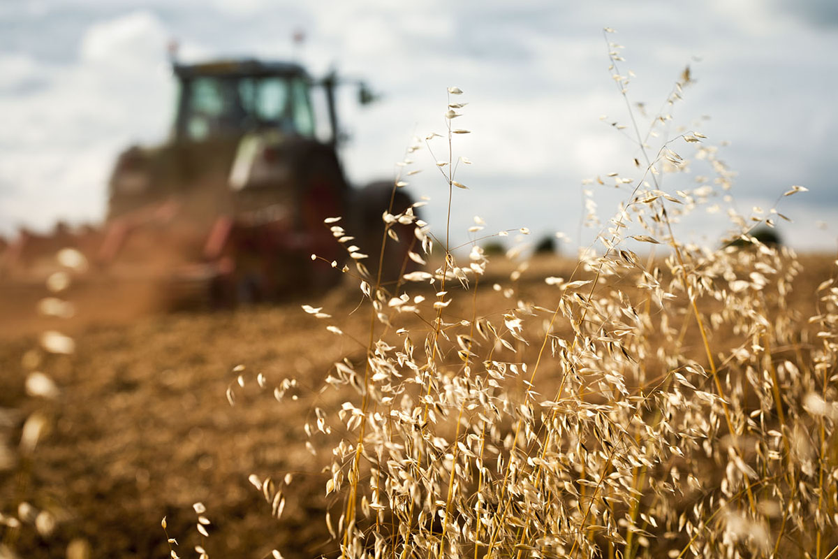 Agronegócio é o único setor em crescimento no Brasil