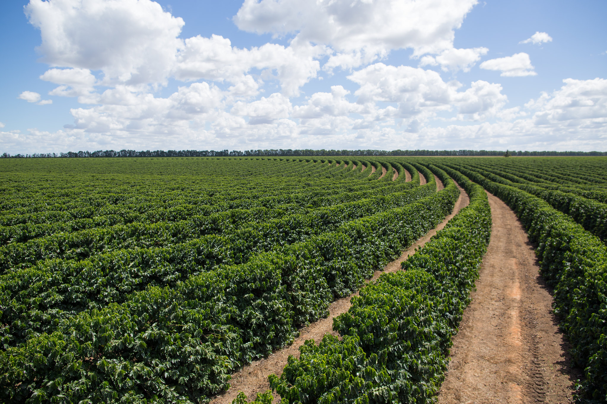 CNA defende que recursos do Plano Safra cheguem aos agricultores