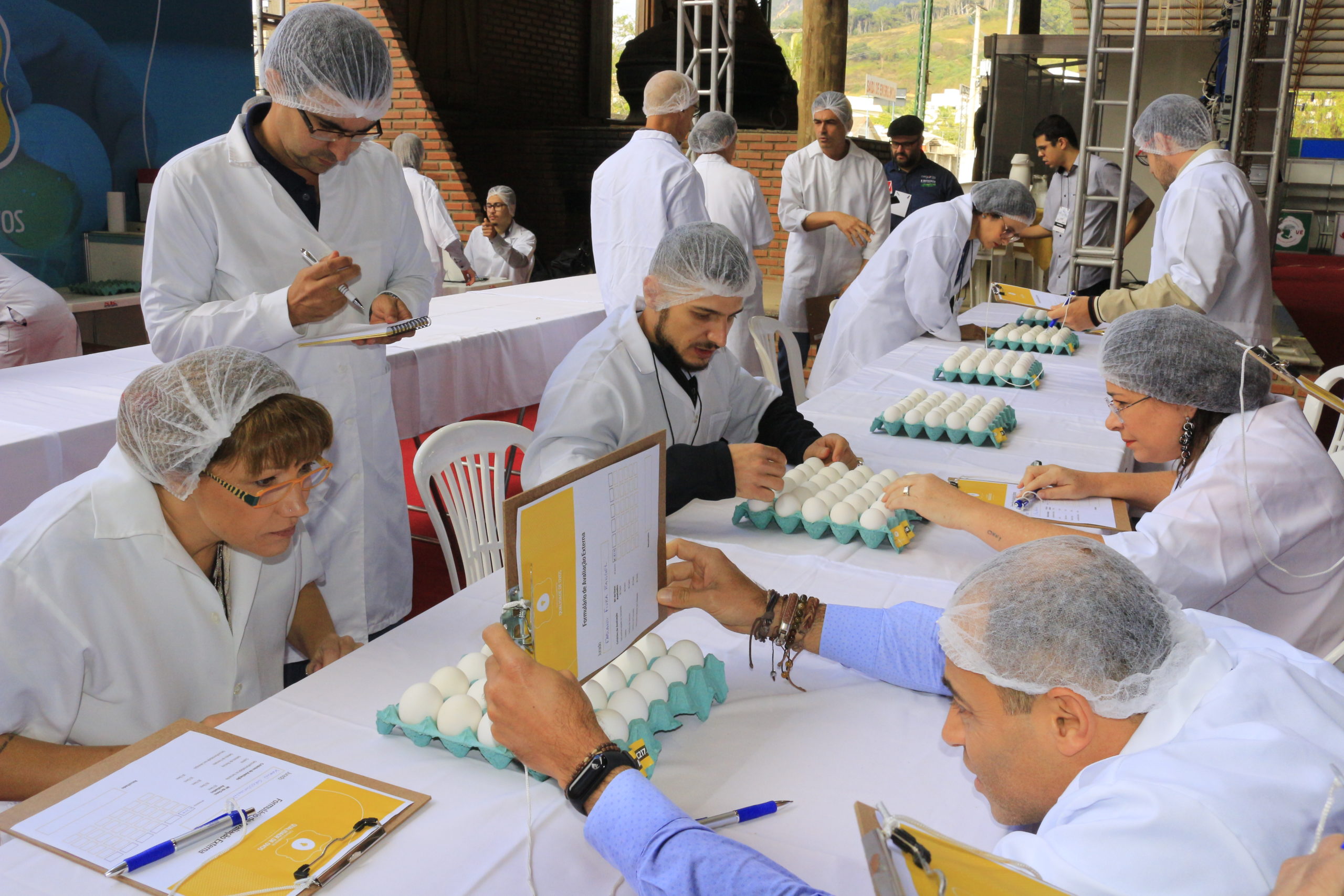 Concurso estadual de qualidade de ovos em formato inédito