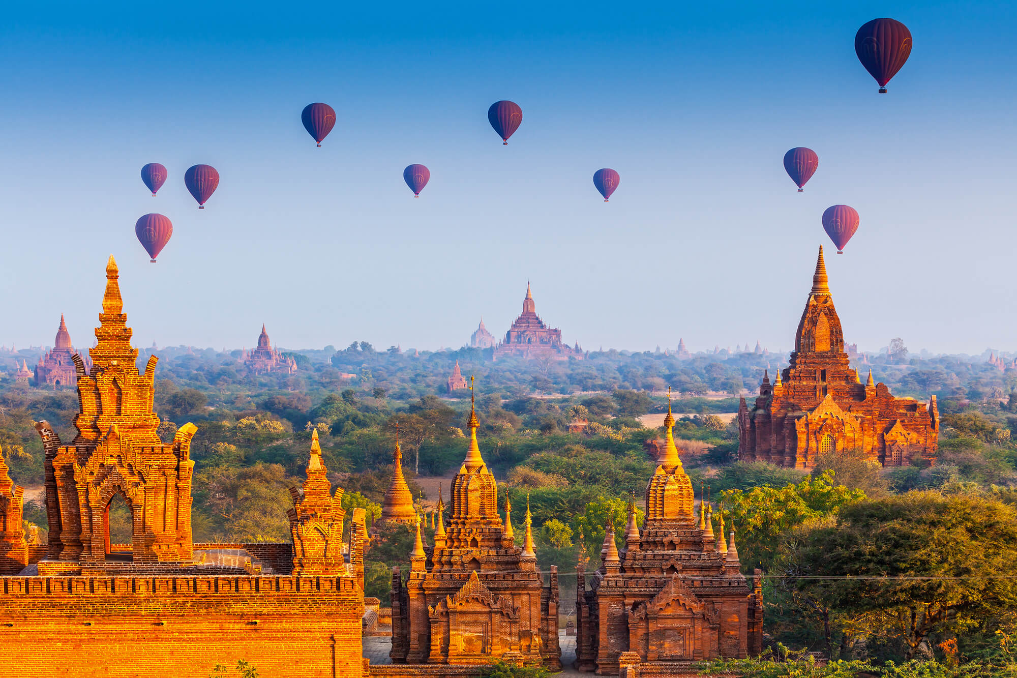 Myanmar abre mercado para a carne suína do Brasil