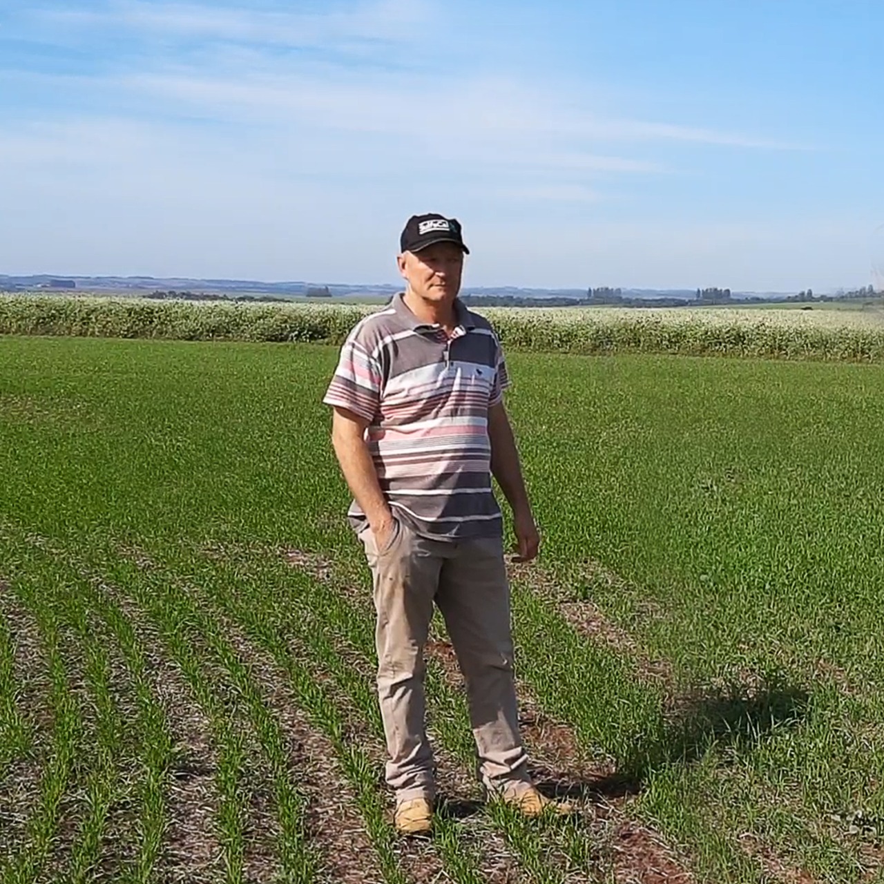 Adubação de precisão potencializa desempenho dos fertilizantes minerais