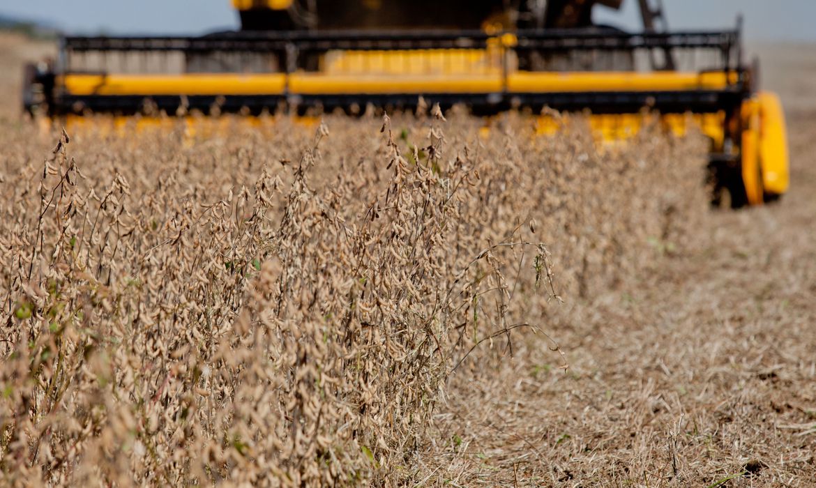Venda casada em crédito rural é ilegal e agricultor pode denunciar