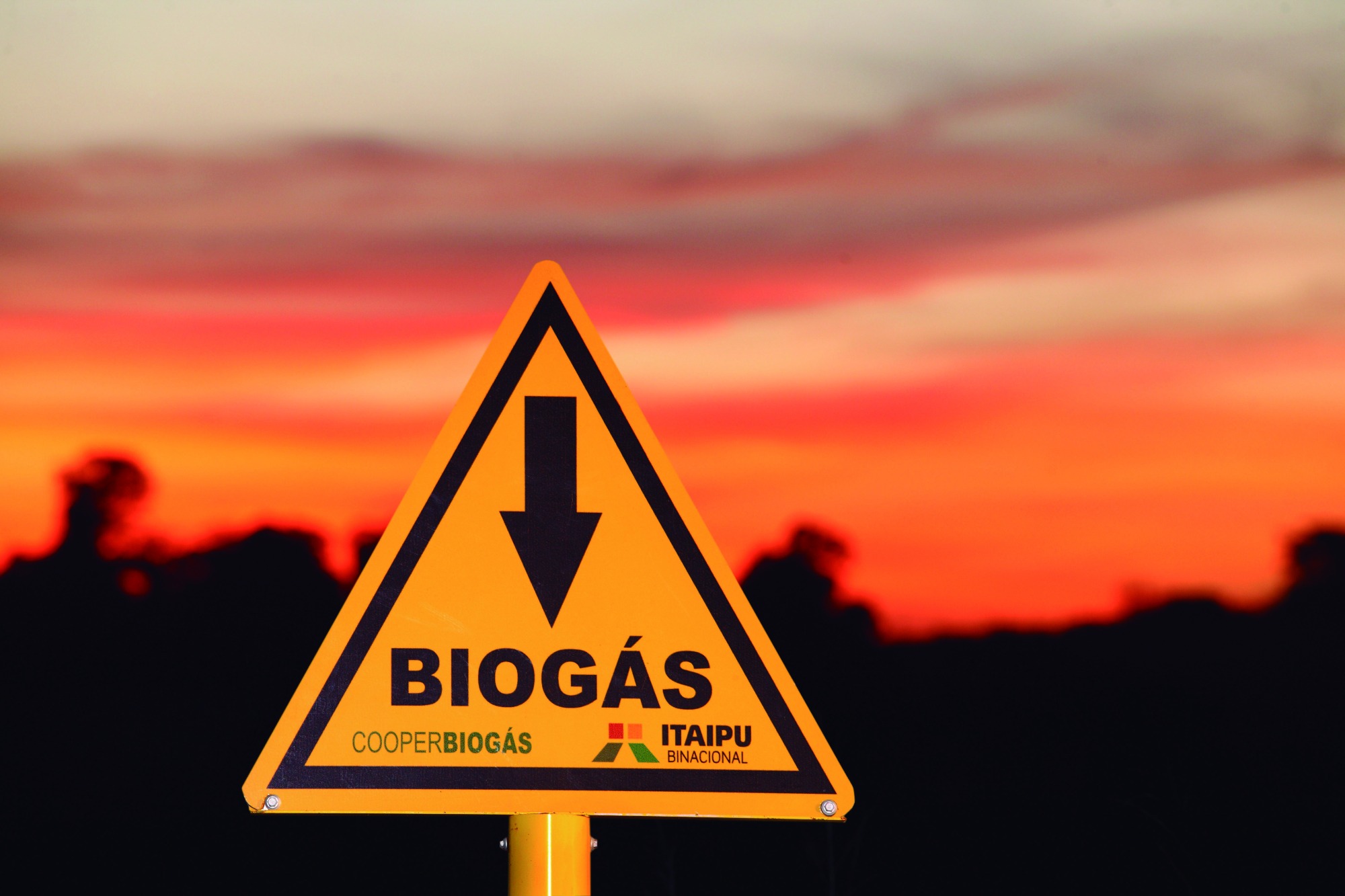 Biogás aumenta competitividade de cooperativas