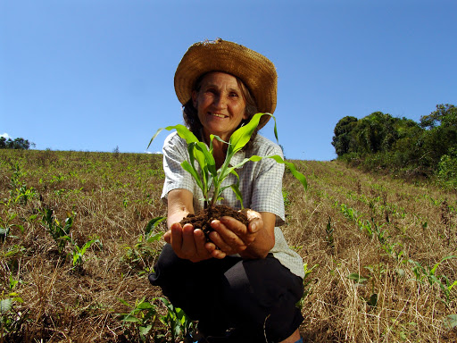 Valorização de mulheres rurais ajuda a promover a produtividade da agricultura, diz ministra