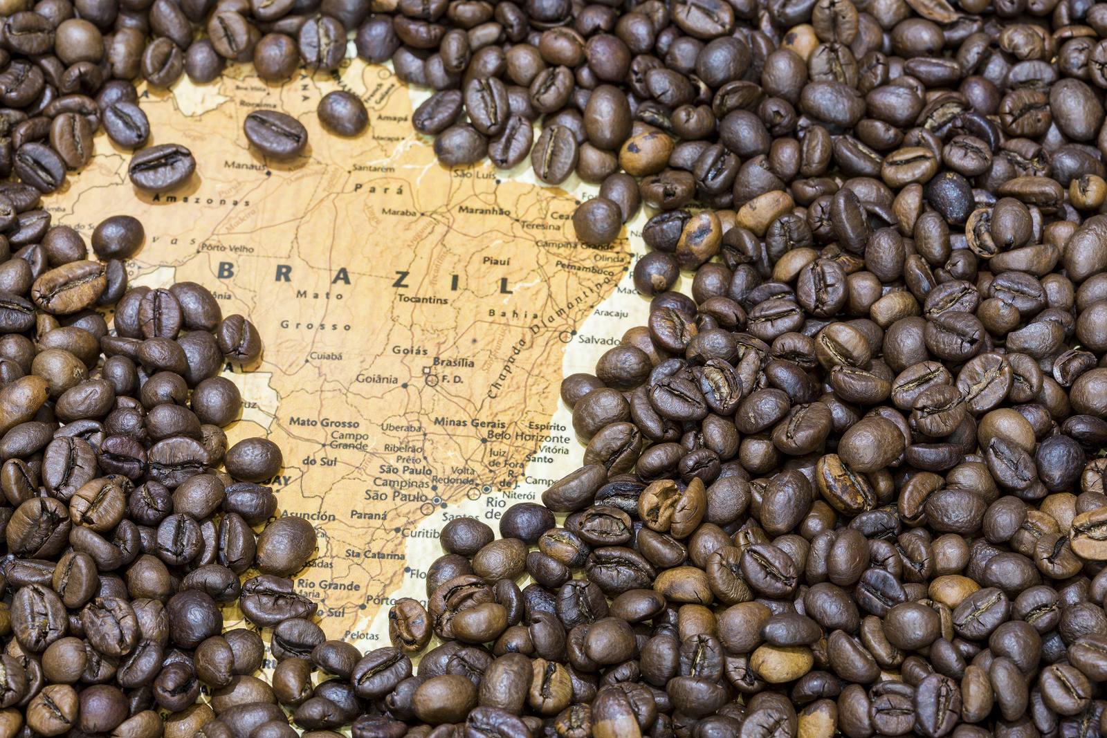 Brasil bate segundo recorde de exportação de café em julho Revista