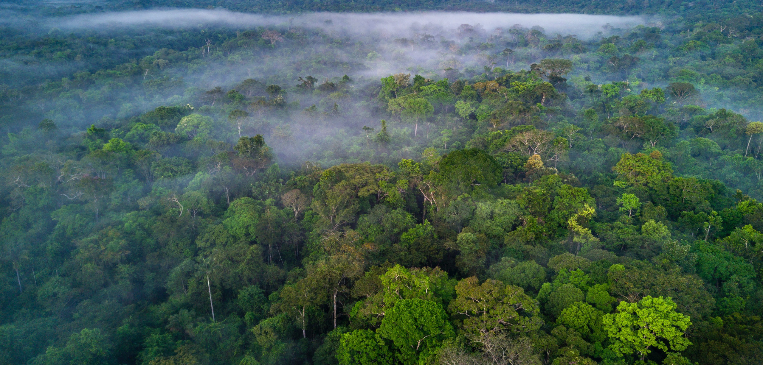 Produtores rurais serão remunerados por protegerem o meio ambiente