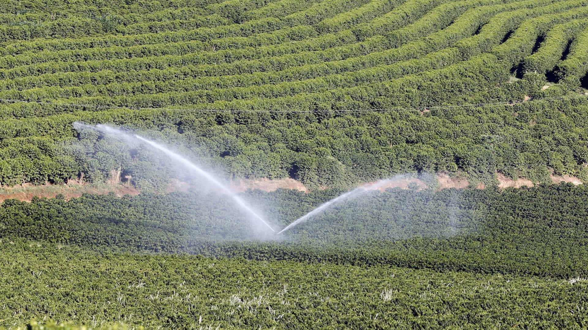 Receita aumenta cerco sobre cobrança de imposto de imóvel rural