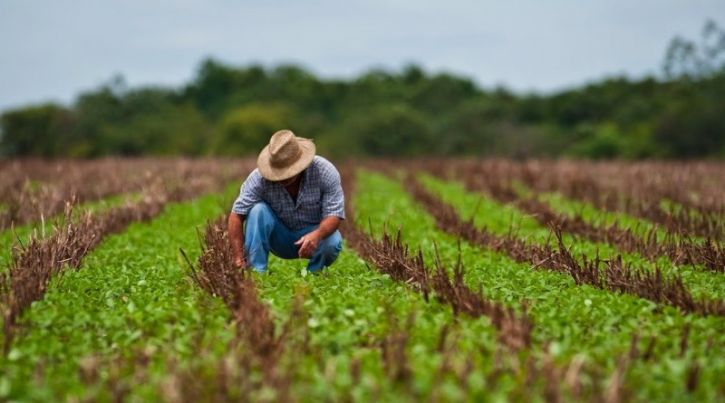 Plataforma digital promete agilidade na solicitação de crédito fundiário