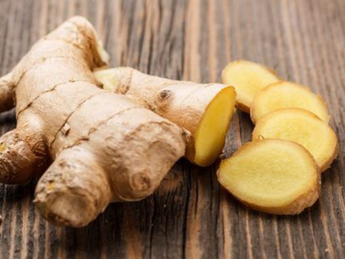 Pequenos produtores cultivam e exportam gengibre orgânico