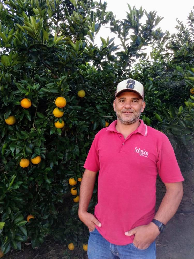 Produtor de laranja muda percepção sob propriedade após Assistência Técnica e Gerencial