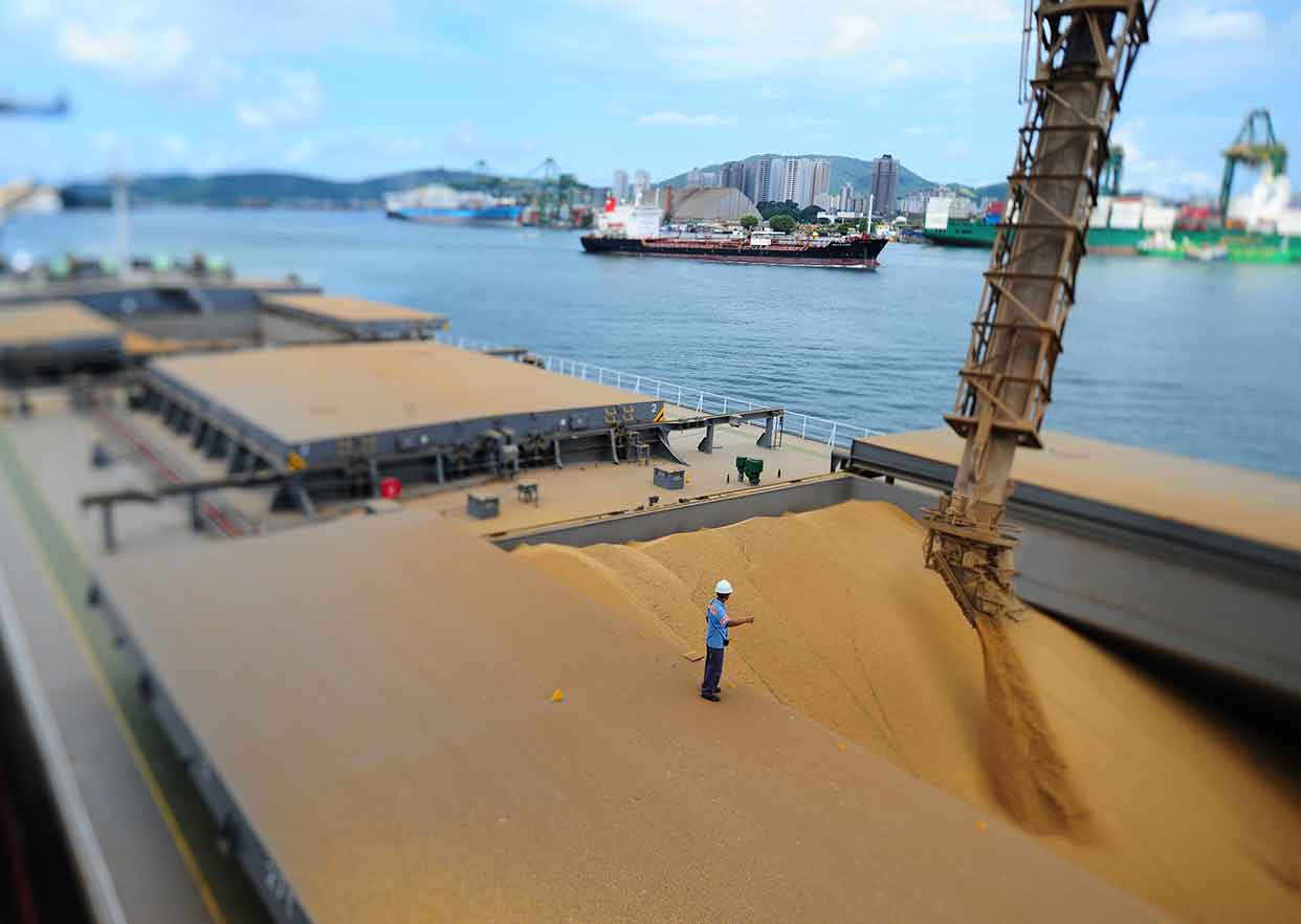 Tarifas de importação de arroz, milho e soja serão retiradas