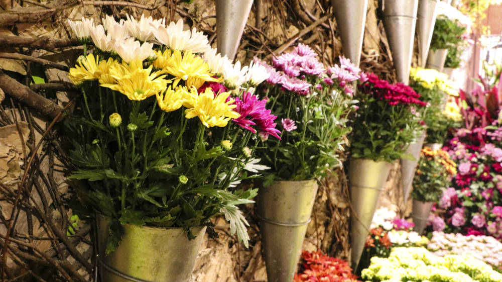 Retomada gradativa do mercado de flores e plantas ornamentais - Revista  Negócio Rural