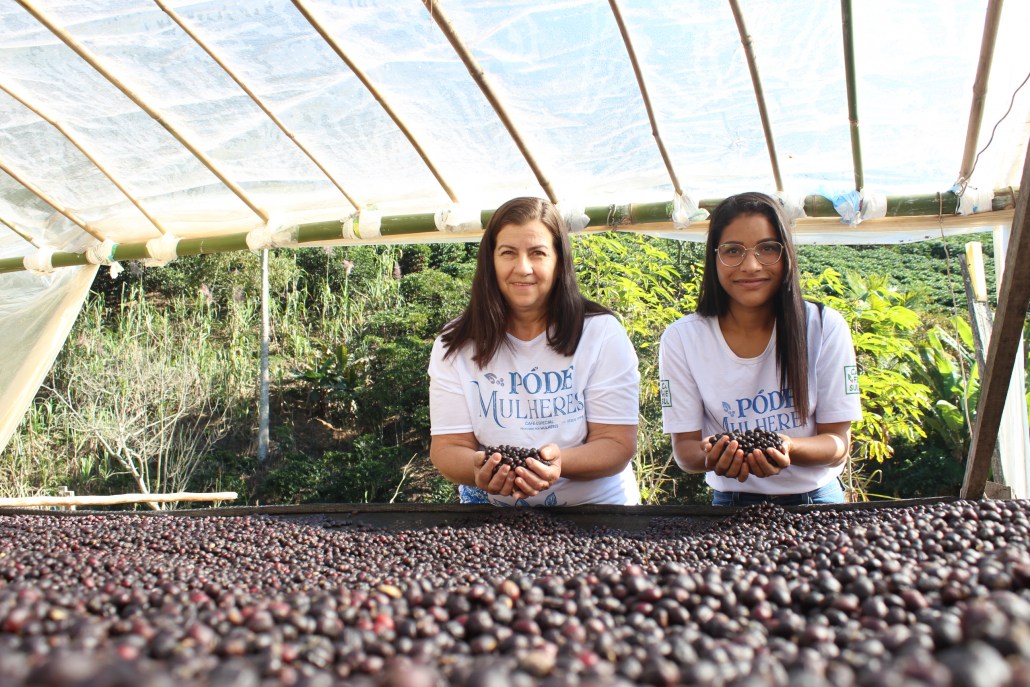 Cafés femininos: a força das mulheres levada do campo para xícaras de todo o mundo