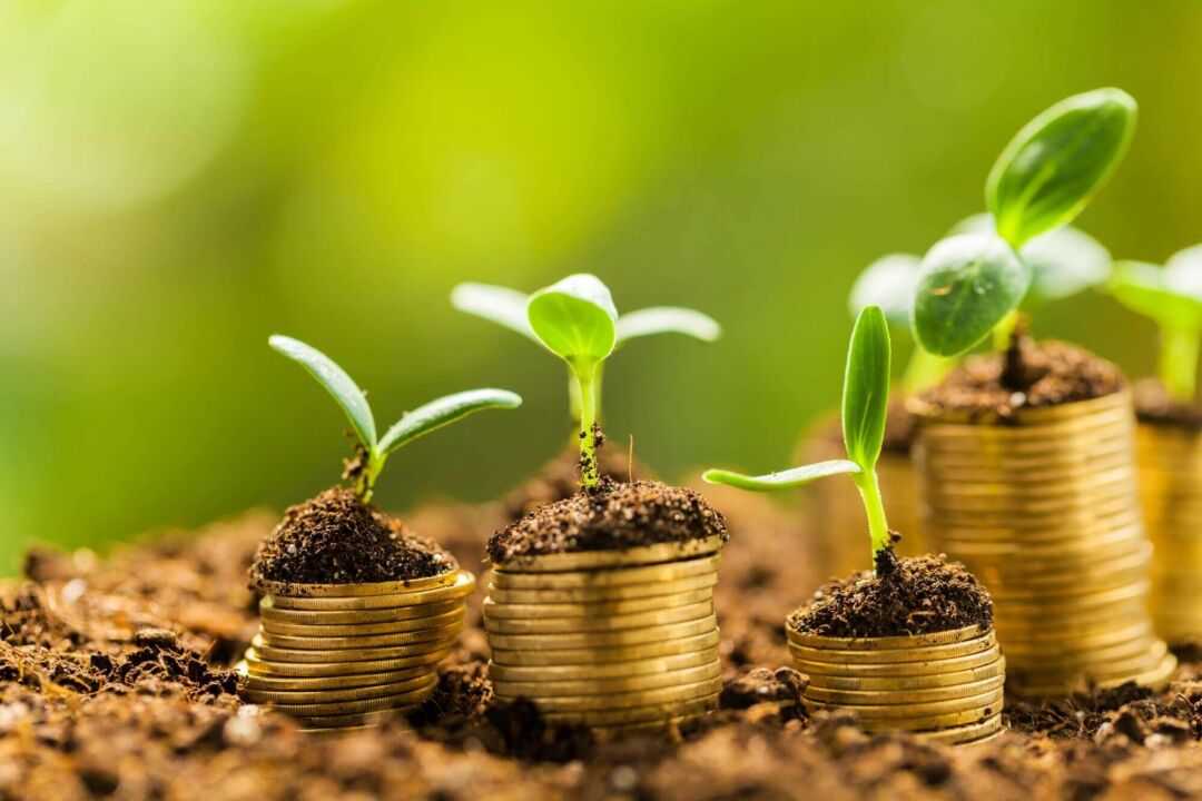 Especialista diz que mercado financeiro precisa acompanhar crescimento do agronegócio