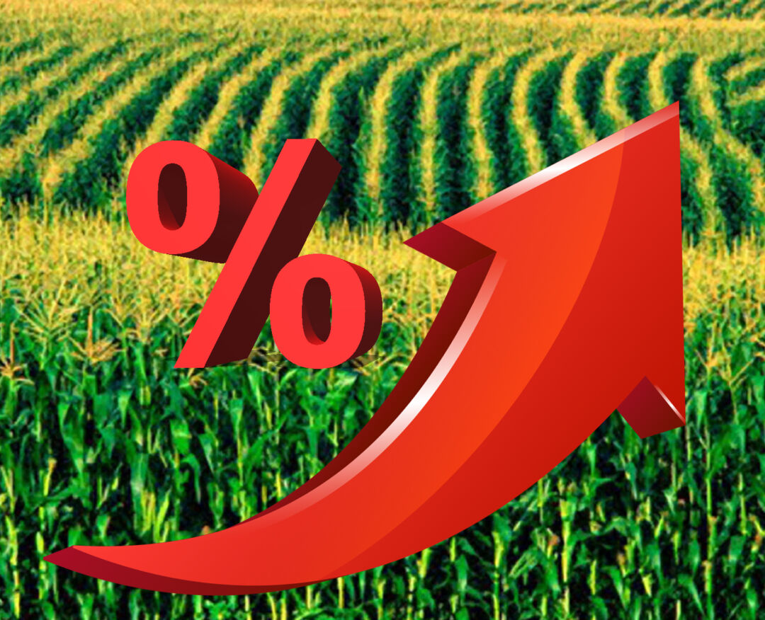 Juro alto prejudica produtores no crédito rural