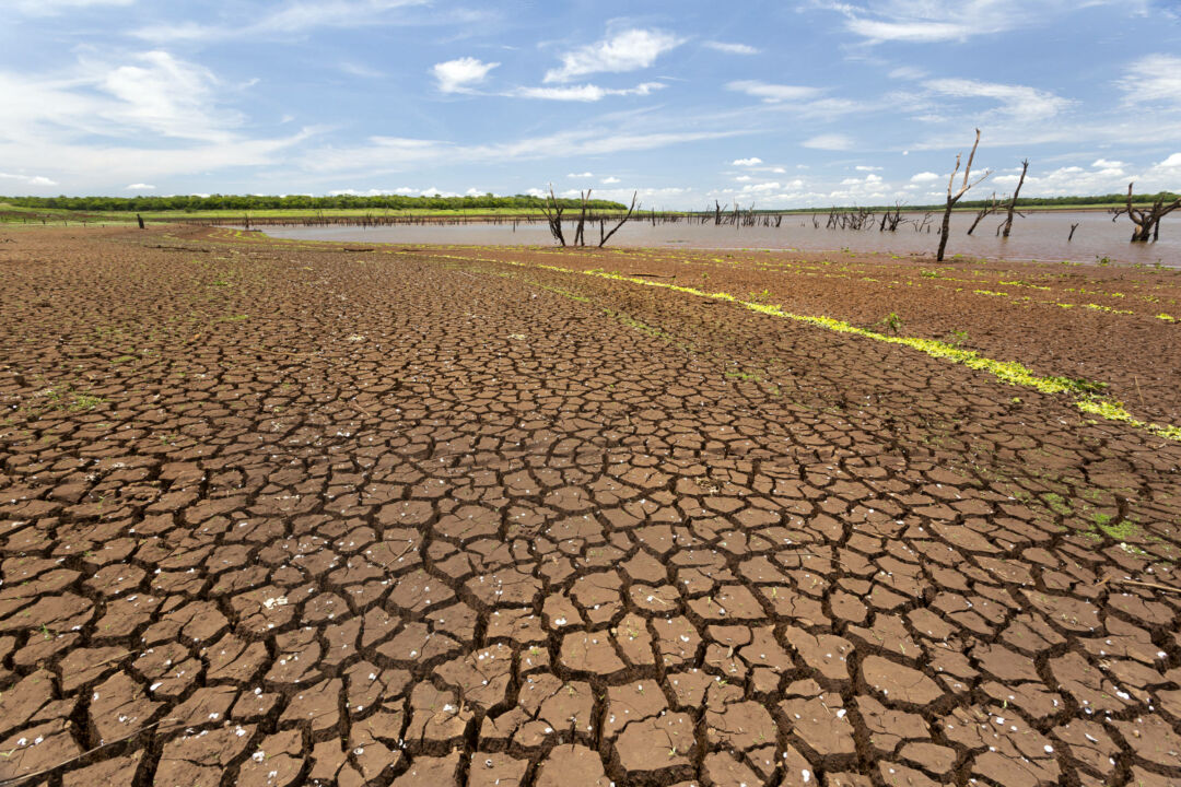 Tendências climáticas para a safra de verão serão debatidas em live