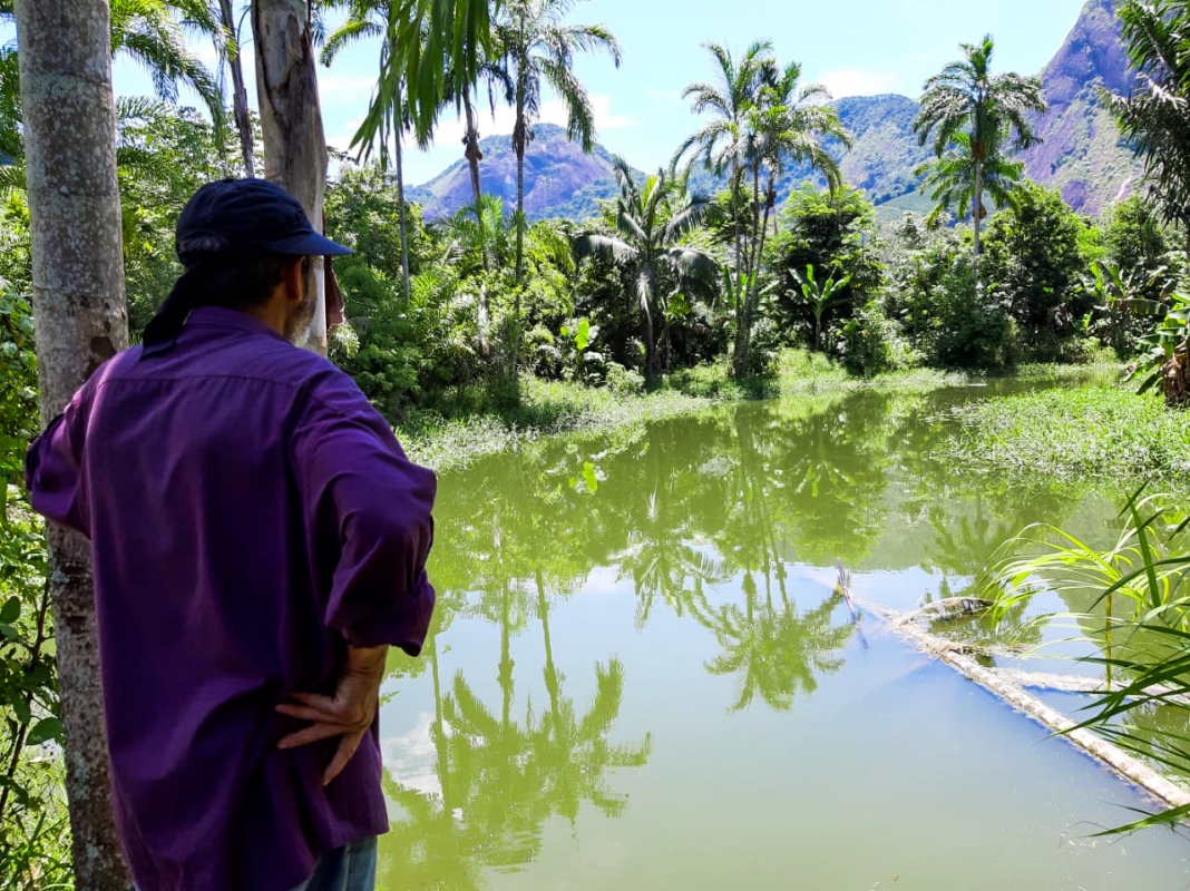 Agricultor transforma sítio dedicado ao paisagismo à piscicultura